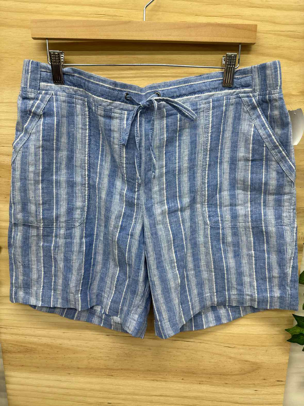 Size 12 Talbots Blue Women's Shorts